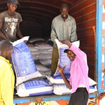 Quality Concerns, Delayed Deliveries Slow Uptake Of Subsidized Fertiliser