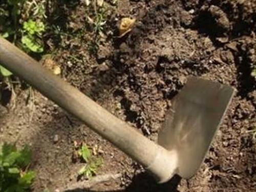 Kisii Man Hacks Father To Death With Hoe