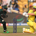 Warner Blocked By 'Bison' In World Cup Escape