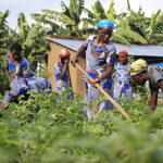 Kenyan Farmers Reap Fruits Of Agricultural Cooperation With China