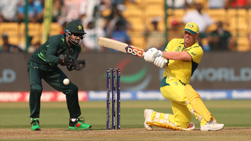 Warner Blocked By 'Bison' In World Cup Escape