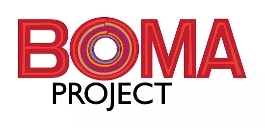 Boma Projects Mentor Vacancies 2026