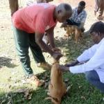Kirinyaga: County Conducts Vaccination Drive After 'Man's Best Friend' Turns On Residents