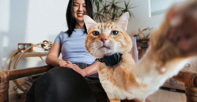 Fi Mini Pet Tracker Brings GPS Safety For Cats And Dogs