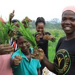 China’s Agriculture Modernization Plan For Africa To Advance Growth, Says Kenyan Scholar