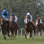 Second Horse-Racing Meet Of The Season Lives Up Top Expectations