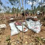 Two Arrested As Police Seize Donkey Meat In Limuru