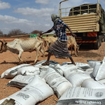 Cost Of Animal Feeds Still High Despite Extension Of Duty Waiver
