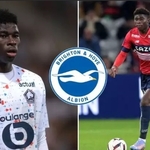 Who Is Carlos Baleba? Brighton’s Moises Caicedo Replacement ‘Set For Medical’