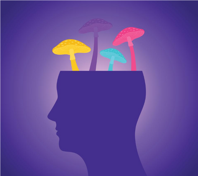 New Mexico Psilocybin Law: What It Means for Employers