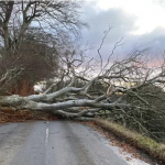 Power Cuts And Schools Closed As Storm Otto Hits