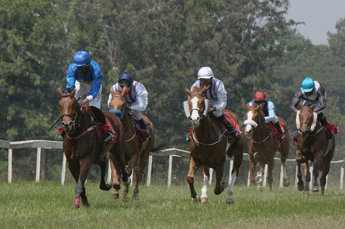 Second Horse-Racing Meet Of The Season Lives Up Top Expectations