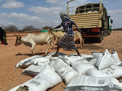Cost Of Animal Feeds Still High Despite Extension Of Duty Waiver