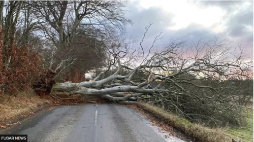 Power Cuts And Schools Closed As Storm Otto Hits
