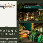 Amazonico Dubai: Open Job Opportunities For Multiple Vacancies In 2023