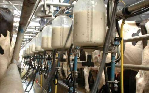 How Technology Can Boost Dairy Farming Smart Agriculture