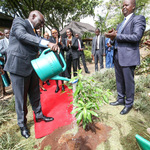 Ruto: Greening Judiciaries In Africa Is Inevitable