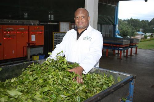 China Creates Lucrative Market For Kenyan Tea