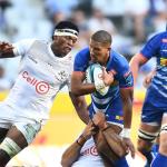 Stormers Wary Of Sharks As A Potential Banana Peel