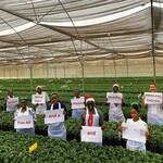 40 Casual Workers Needed At Selecta One Kenya