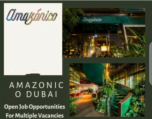Amazonico Dubai: Open Job Opportunities For Multiple Vacancies In 2023