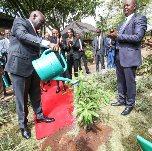 Ruto: Greening Judiciaries In Africa Is Inevitable