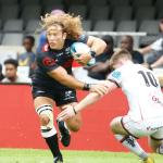 Bok Boost Comes At Right Time For Sharks