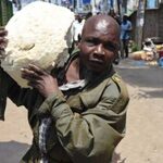 Kenya To Hold Dialogue On Indigenous Foods Over Unhealthy Ugali