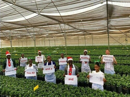40 Casual Workers Needed At Selecta One Kenya