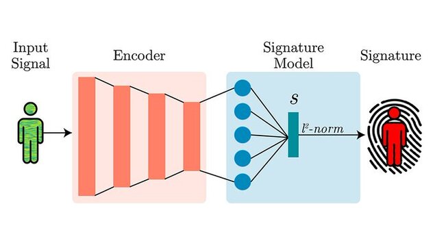 Wi-Fi Biometrics: How WhoFi Tracks You Without Cameras