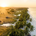 Zanzibar and Tanzania Safari: How to Plan the Ultimate African Journey