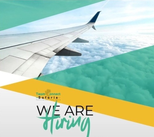 11 Vacancies Open At Team Connect Safaris