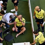 Referee Peyper Limps Out of Wales-Argentina Quarterfinal