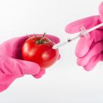 GMOs Less A Health, More A Dependency Concern