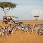 Tourism Board To Market Kenya Internationally