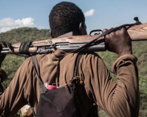 Why Is Insecurity In The North Undending?