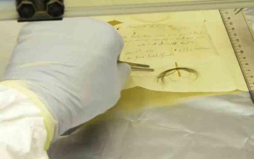 What Made Beethoven Sick? DNA From His Hair Offers Clues