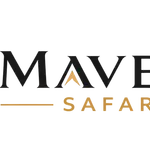 Dubai Desert Safari | The Complete 2026 Guide