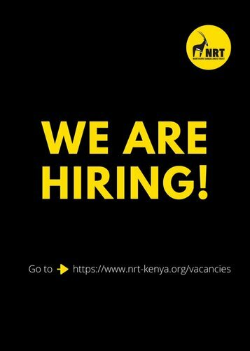NRT Trading Hiring Tourism Consultant
