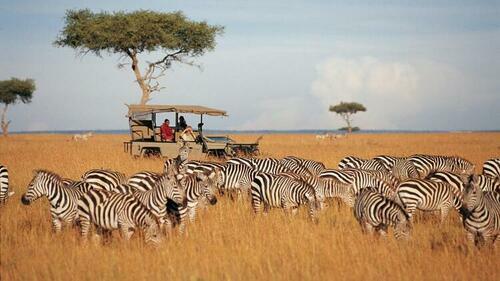 Tourism Board To Market Kenya Internationally