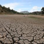 Wundanyi Residents Face Starvation After Kishenyi Dam Dries Up