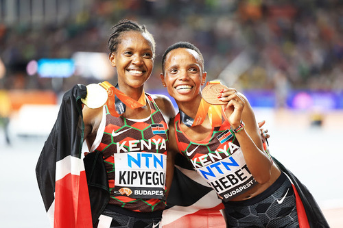Kenya's Mixed Bag Of Accolades From Budapest