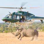 Fun-Filled Activities To Do Across The Country
