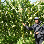 Kenya’s Economy Grows 5.4% In Q2 Despite Drop In Six Key Sectors