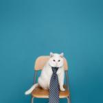 How to Respond to “So, Tell Me About Yourself” in a Job Interview