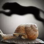 Executive Coaching: 4 Ways to Get Faster Results