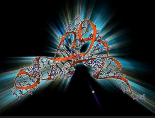 Viome, A Microbiome Startup, Raises $86.5M, Inks Distribution Deal With CVS