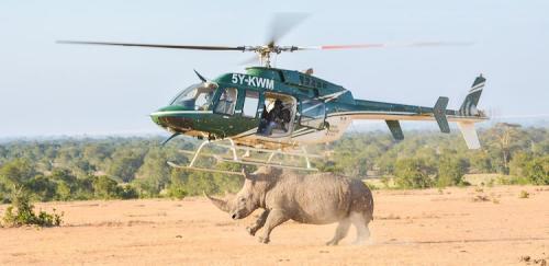 Fun-Filled Activities To Do Across The Country