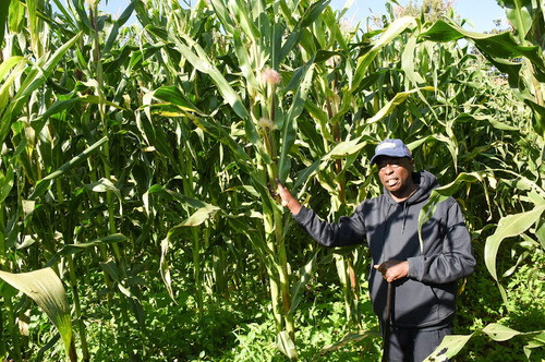 Kenya’s Economy Grows 5.4% In Q2 Despite Drop In Six Key Sectors