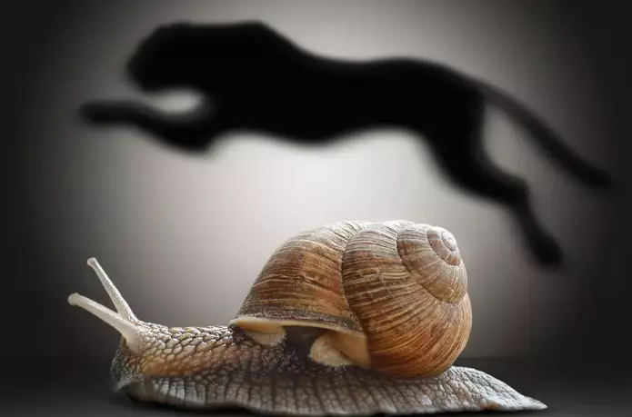 Executive Coaching: 4 Ways to Get Faster Results
